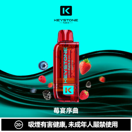 KEYSTONE FLEX-3 鑰石 25000口 專彈專機套裝|大容量續航・台灣現貨 KEYSTONE FLEX-3 鑰石 25000口 專彈專機套裝|大容量續航・台灣現貨