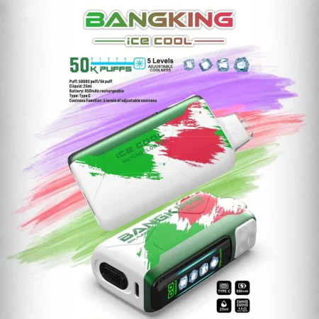 Bang King 60000 拋棄式電子煙|LED 螢幕顯示 × 五檔冰度調節|超長續航大容量・多款口味 Bang King 60000 拋棄式電子煙|LED 螢幕顯示 × 五檔冰度調節|超長續航大容量・多款口味
